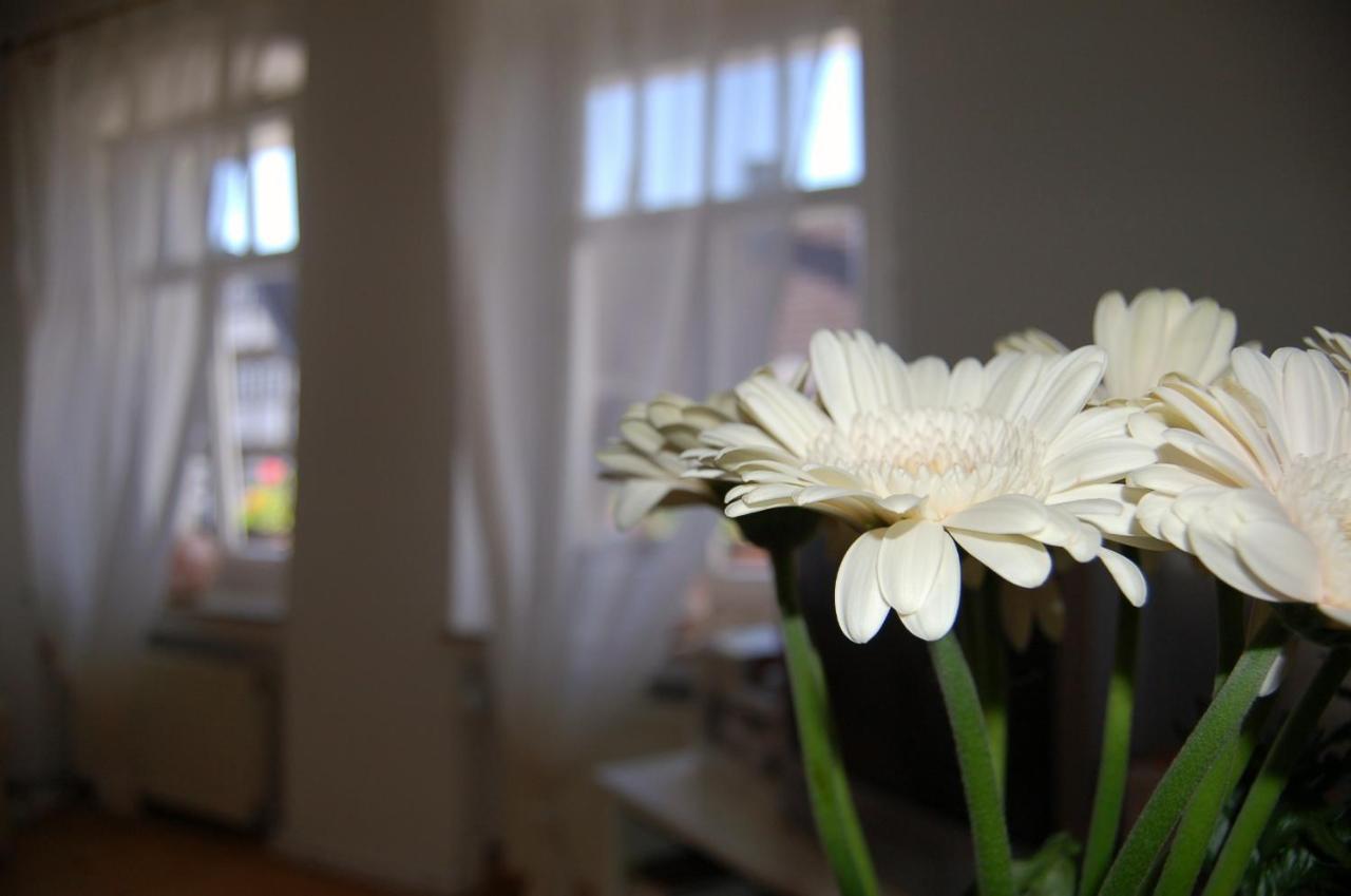 Ferienwohnungen Cafe Cup Detmold Extérieur photo